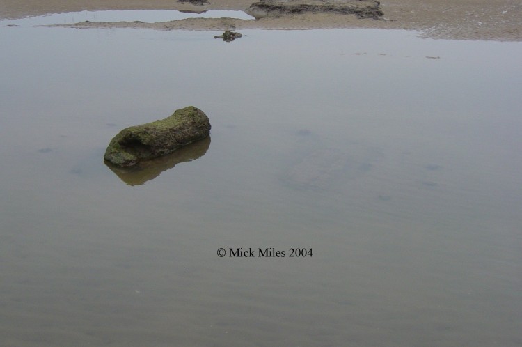 Click for the gallery page to add comments and vote (PID:11226) Holme II