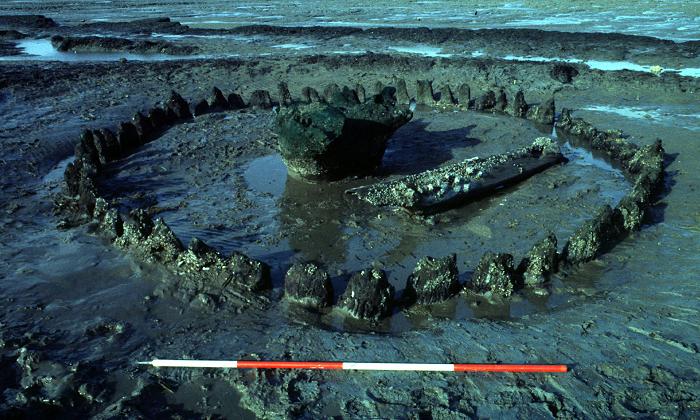 Seahenge before excavation

Publicity photo, copyright English Heritage