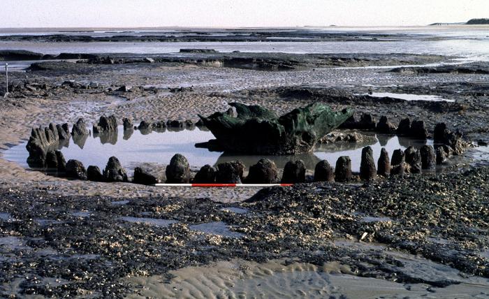The original 'Seahenge', now removed to safety, but much remains on Holme beach. Photo copyright English Heritage, used with permission