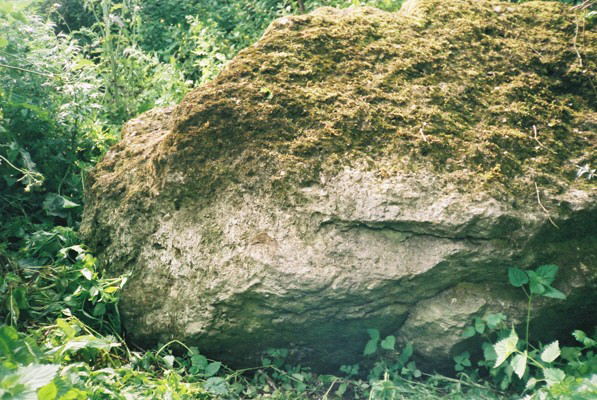 This large boulder of Necomian sandstone has quite likely been transported from Norway by a glaciar during the last ice age.
The picture is only part of it, which  continues under the hedge to the right to the edge of the ditch. It is very worn, gritty and mossy - its
certainly been there a long while.
The dimensions are at least [roughly] 13 x 5 x 5 foot in size, so could actually weigh in at 