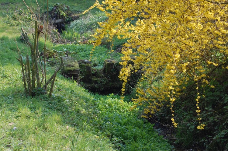 St Thomas's Well (Wymondham)