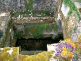 St Withburga's Well - PID:45390