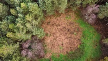 West Harling Heath Barrows - PID:235894