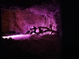 Grime's Graves Flint Mines submitted by TheCaptain