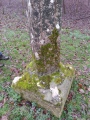 Weeting Stump Cross - PID:283264