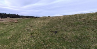 Holkham Camp