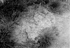 South Lopham Ox Foot Stone