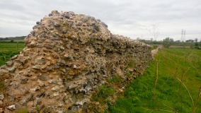 Venta Icenorum
