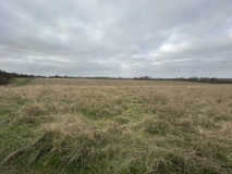 Branodunum