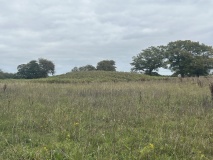 Bircham Common Barrows - PID:296864