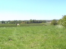 Warham Camp - PID:182877