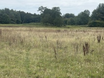 Bircham Common Barrows - PID:296863