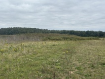Bircham Common Barrows - PID:296861