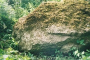 Merton Stone submitted by trui