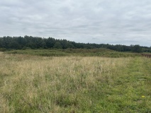 Bircham Common Barrows - PID:296862