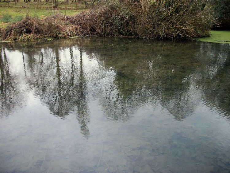 St Agnes Well, Longham