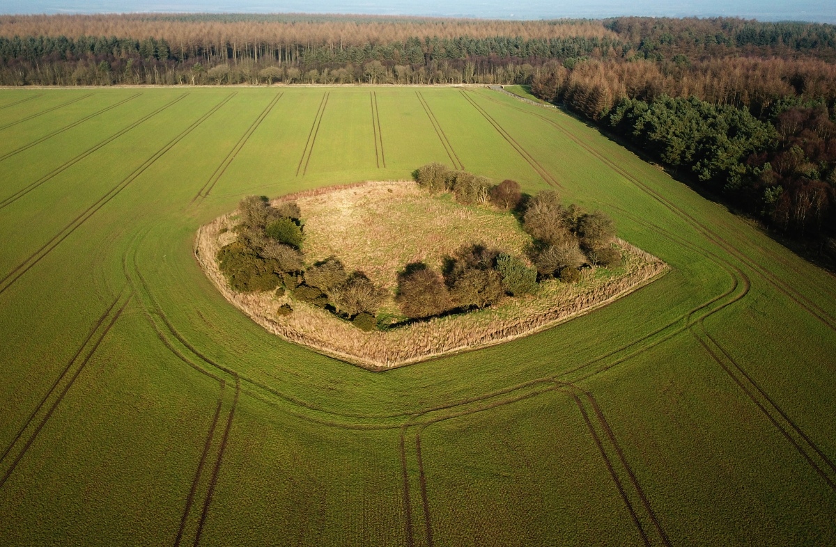 Studfold Ring (Ampleforth)