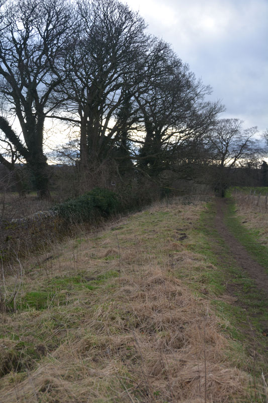 Scots Dyke (Easby)