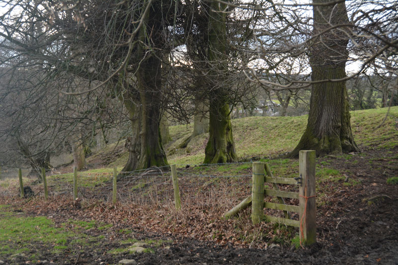 Click for the gallery page to add comments and vote (PID:162505) Scots Dyke (Easby)