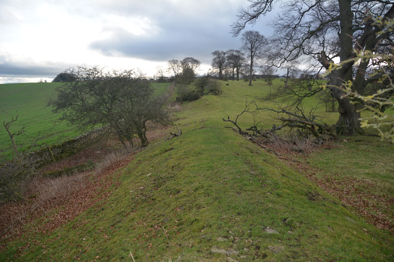 Click for the gallery page to add comments and vote (PID:162510) Scots Dyke (Olliver)