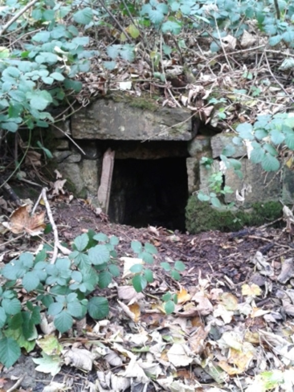 Click for the gallery page to add comments and vote (PID:188531) Holy Well, Hildenley