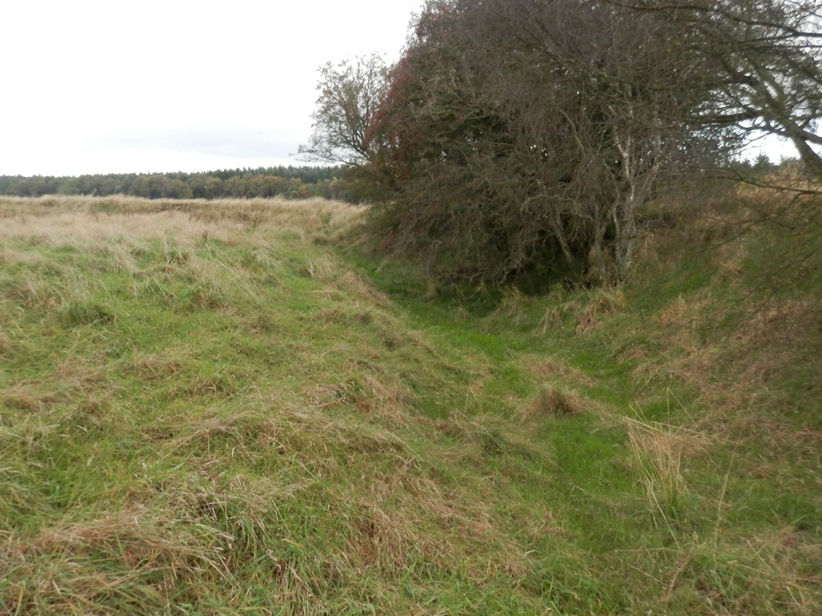 Studfold Ring (Ampleforth)