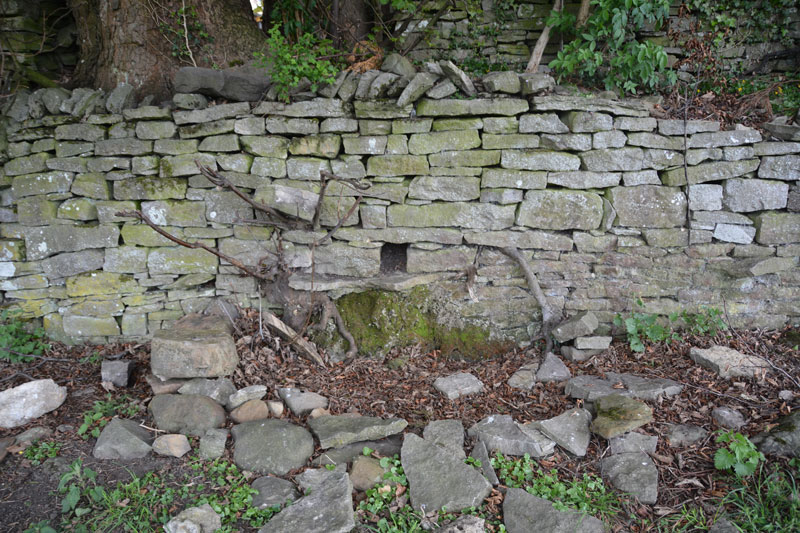 St Alkelda's Holy Well