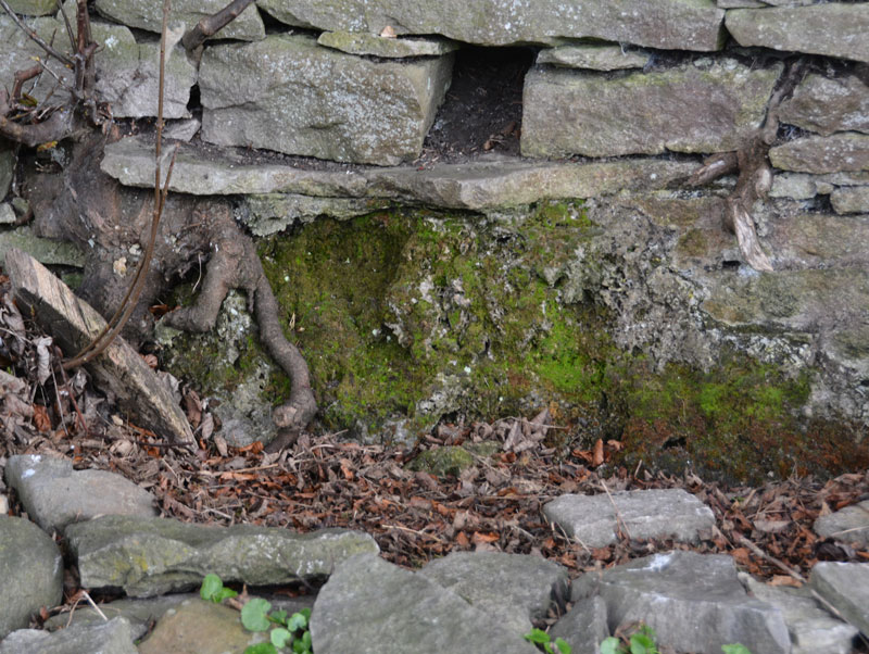 The Yorkshire Holy Wells web page says that there is “a build up of petrified moss and vegetation below the opening where the water used to flow out and this indicates the spring water had a high mineral content.