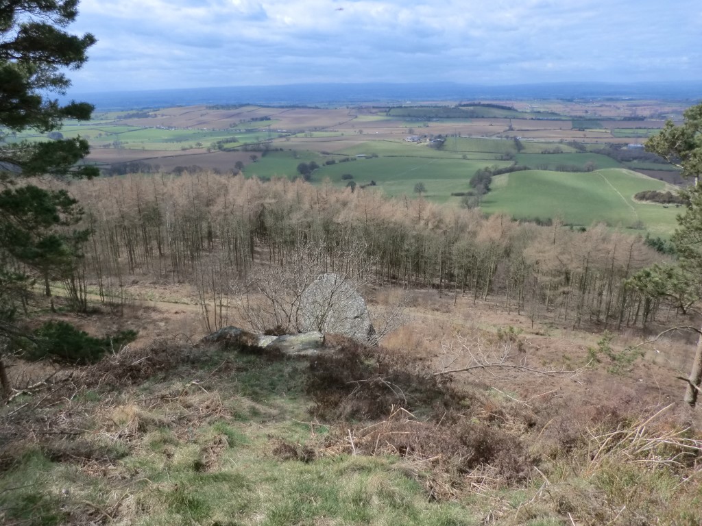Hanging Stone (Thimbleby Bank)