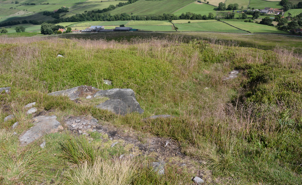 Click for the gallery page to add comments and vote (PID:167602) Danby Rigg Cross Dyke (Crossley Side)