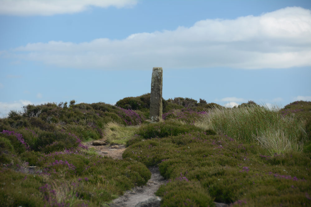 Click for the gallery page to add comments and vote (PID:167673) Danby Rigg Marker Stone (Crossley Gate)