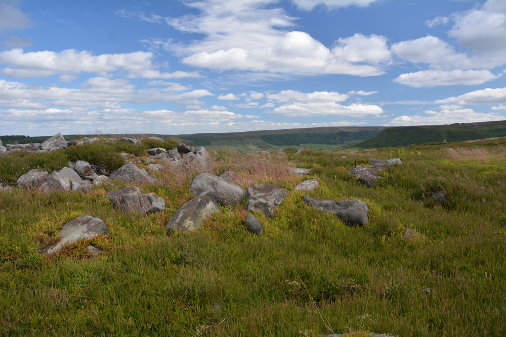 Click for the gallery page to add comments and vote (PID:167541) Danby Rigg (Crossley Gate)