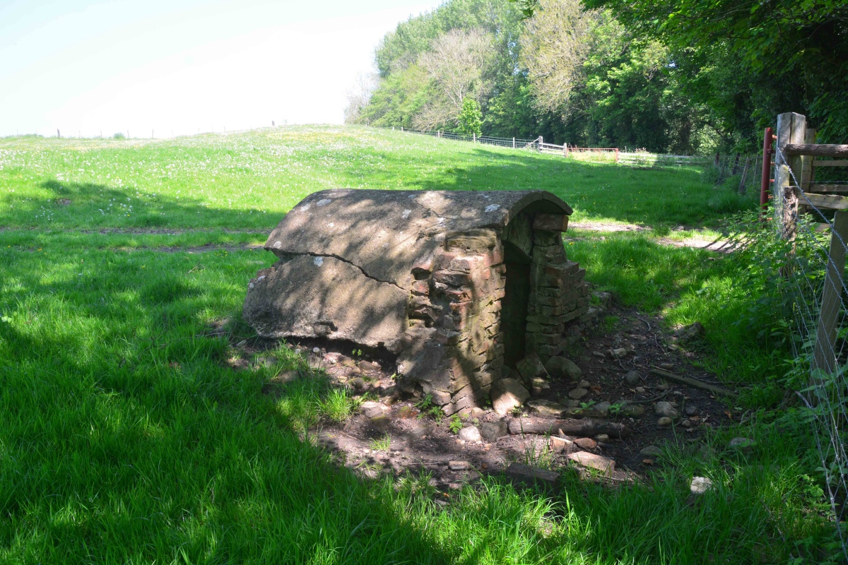 Click for the gallery page to add comments and vote (PID:227847) Lady Well (Kirklington)