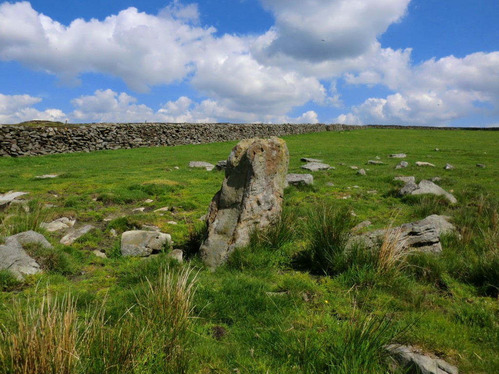 Bog House Standing Stone