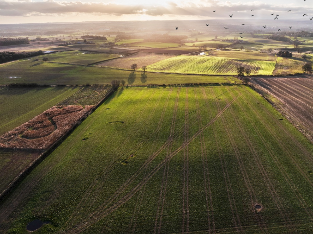 Cana Henge