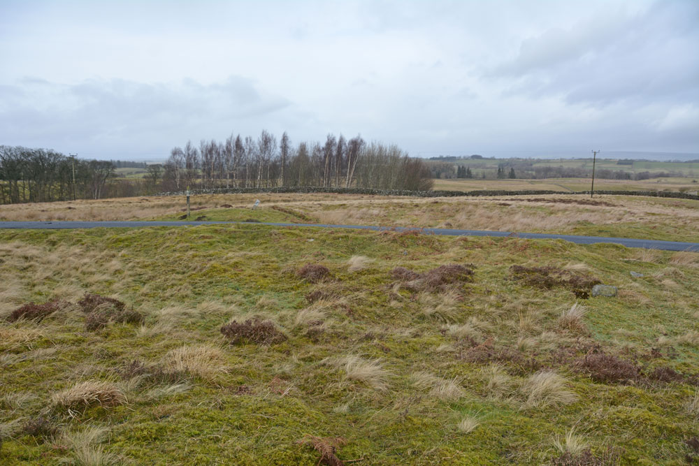 Click for the gallery page to add comments and vote (PID:193556) Cowclose House (Barningham Moor)