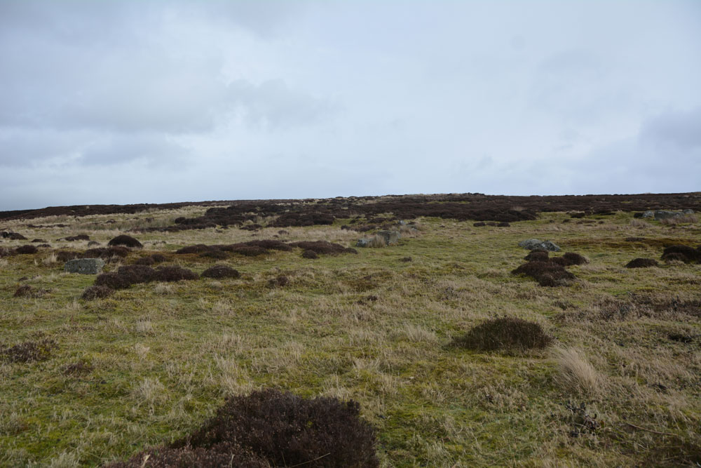Click for the gallery page to add comments and vote (PID:193557) Grey Stones (Barningham Moor)