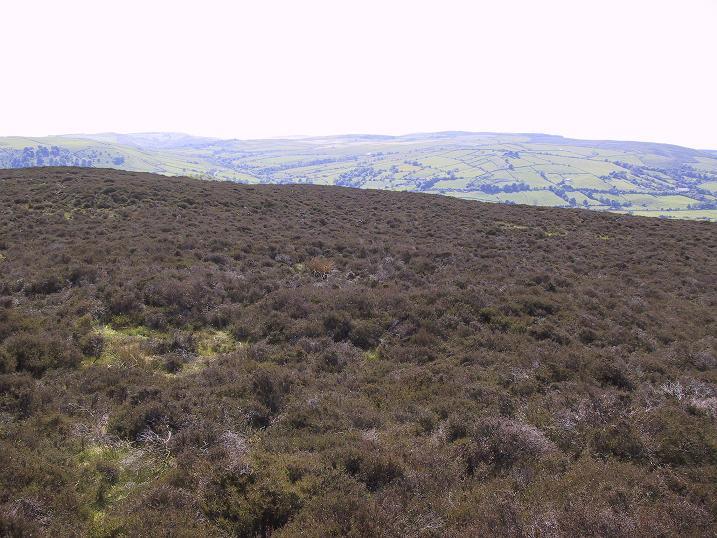 Black Hill Ring Cairn