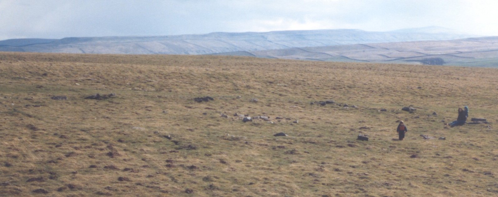 Click for the gallery page to add comments and vote (PID:31142) Carperby Stone Circle