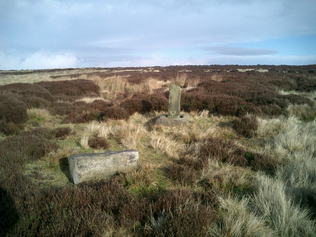 Cockan Cross, Yorkshire (North) | Megalithic Portal