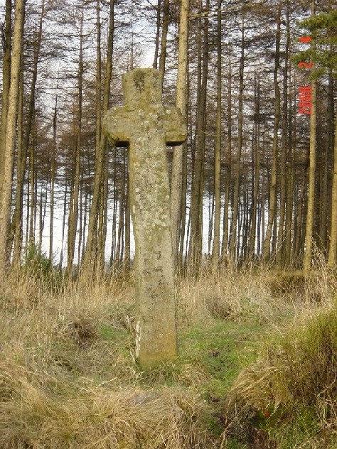 Mauley Cross