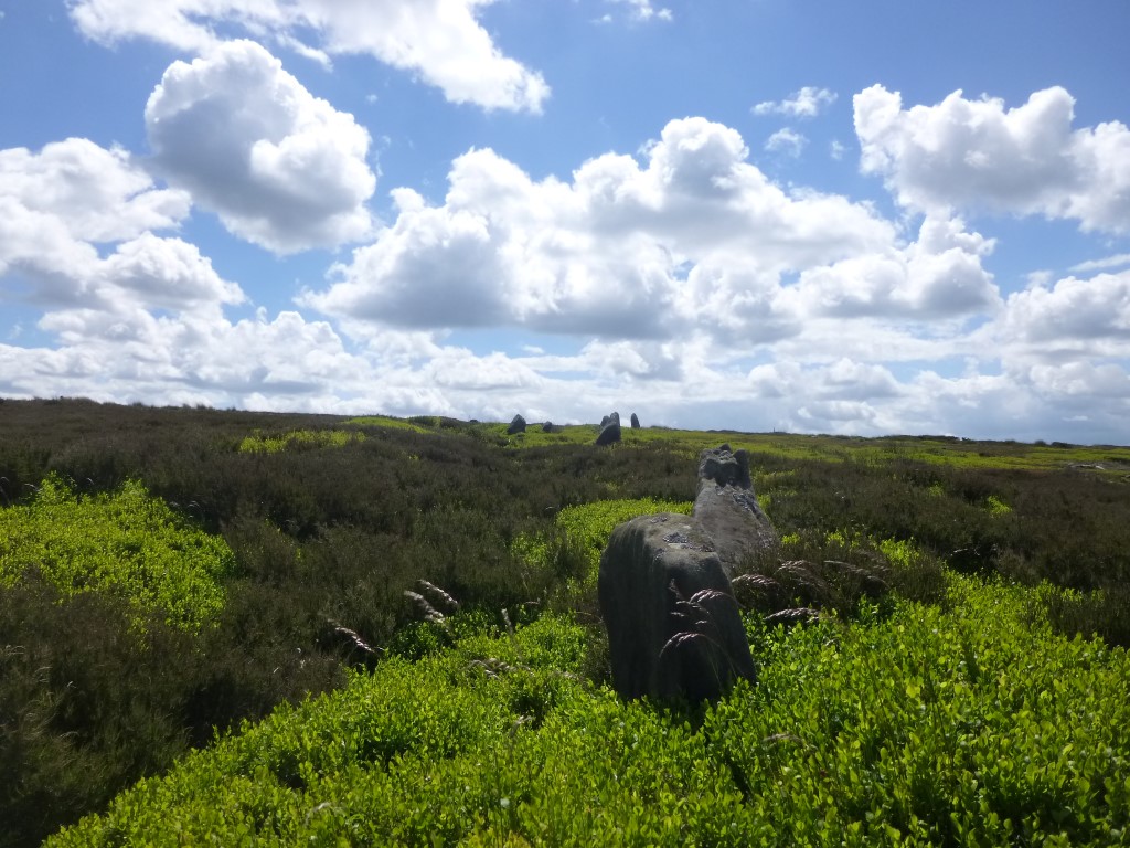 Crown End Alignment and Cross Dyke