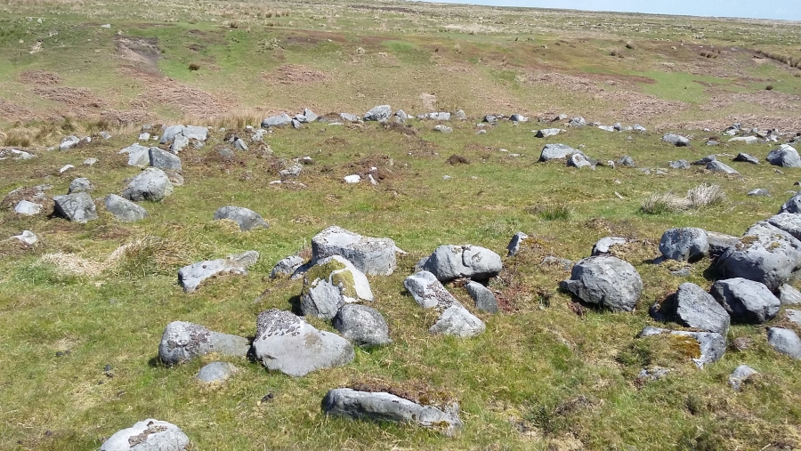 Click for the gallery page to add comments and vote (PID:165933) Green Plain settlement