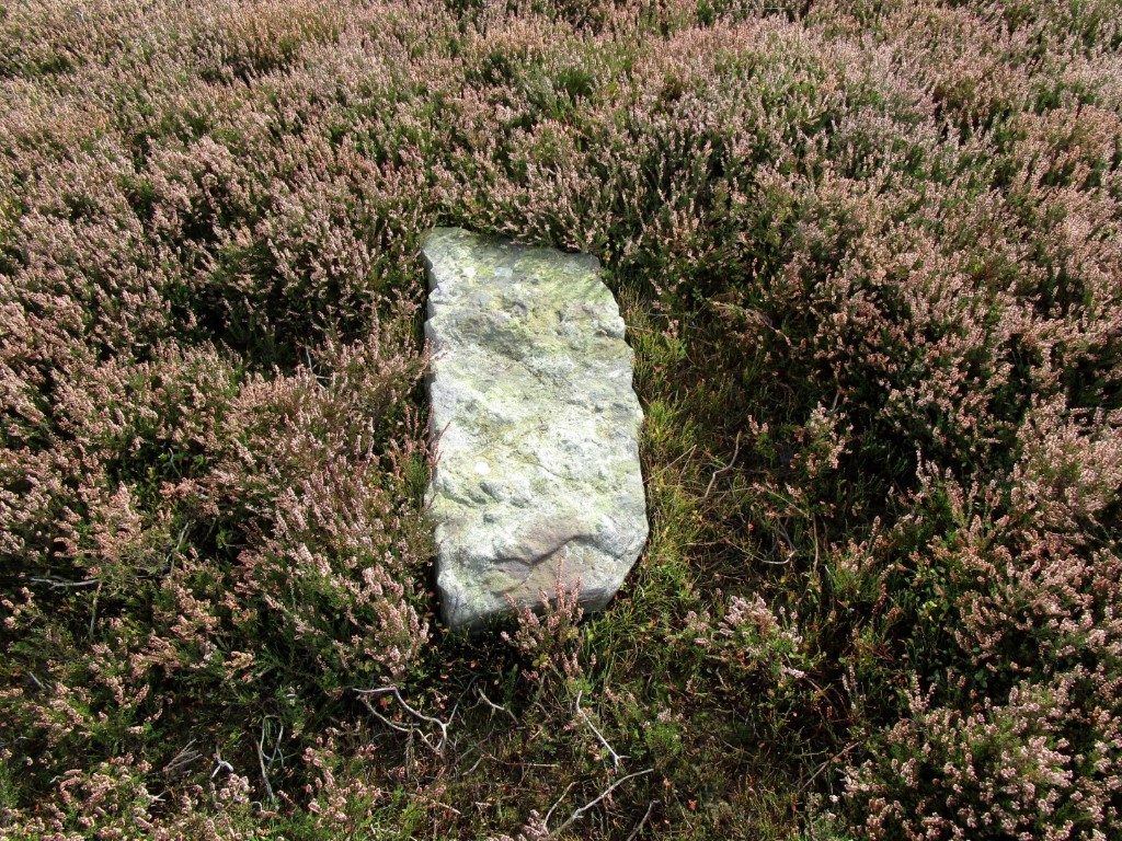 Old Castle Hill