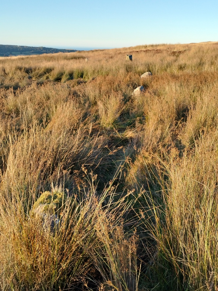 Low Bridestones (N) (Yorks)