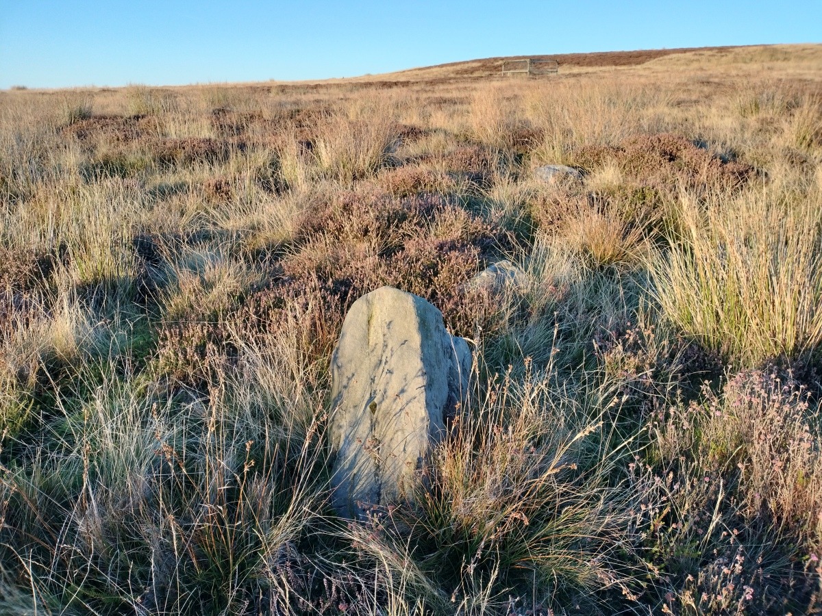 Low Bridestones (N) (Yorks)