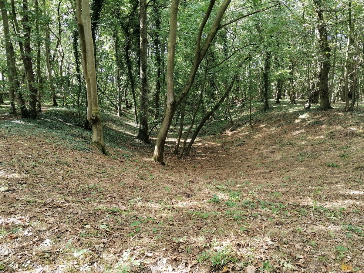 Thornborough N Henge The Megalithic Portal and Megalith Map