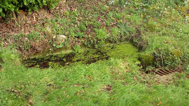 St Helen's Well (Kirkby Overblow)