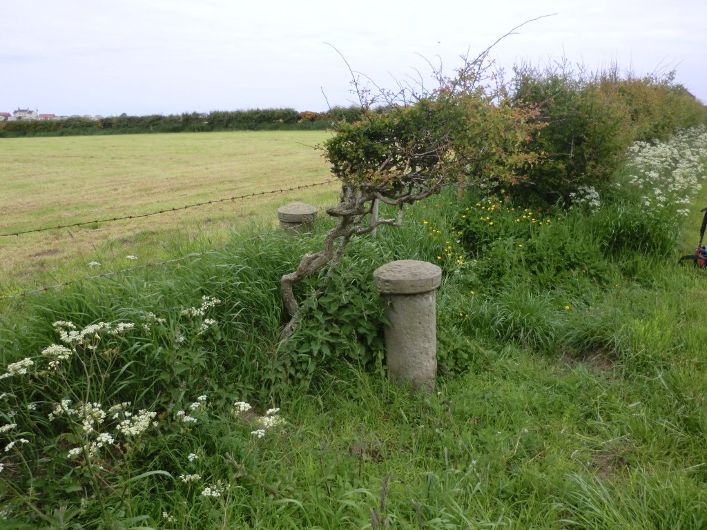 Robin Hood Close and Little John Close (PID:172320) Robin Hood Close and Little John Close