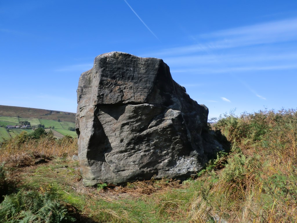 Dancing Stone (Botton), Yorkshire (North) | Megalithic Portal